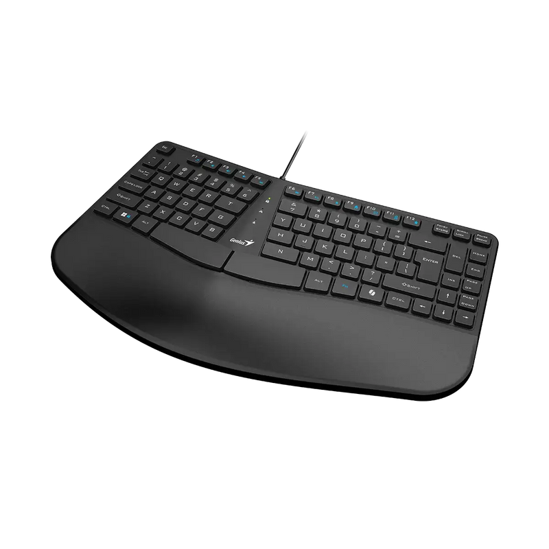 TECLADO GENIUS ERGO KB-700 COPILOT | MEMBRANA