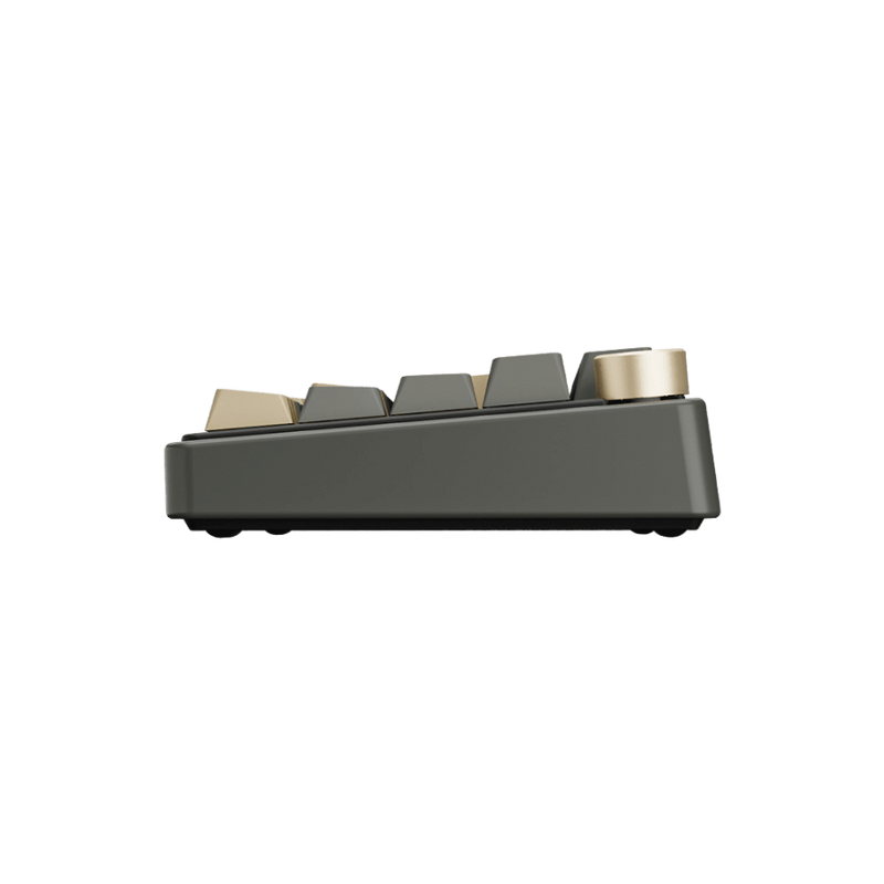 TECLADO ROYAL KLUDGE R65 | ESPAÑOL | MECANICO| SW-CHARTREUSE | RGB | PHANTOM